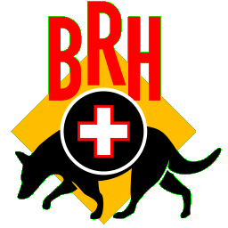 BRH Logo