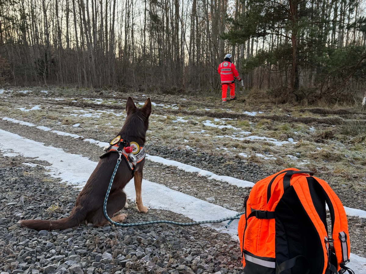 Erfolgreiche Vorprüfung bestanden.