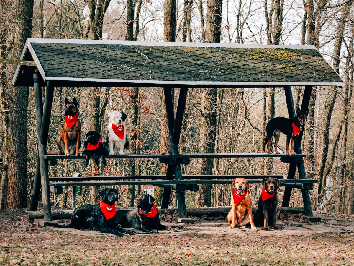 Training zum Weltfrauentag